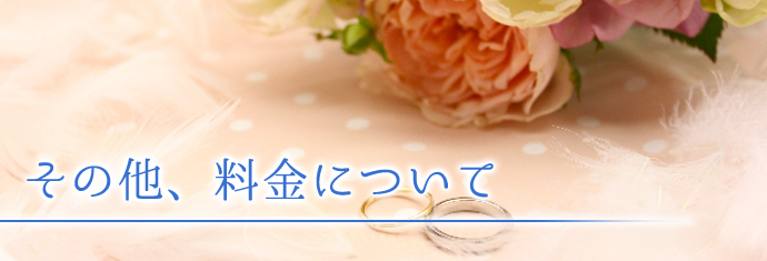 その他料金について