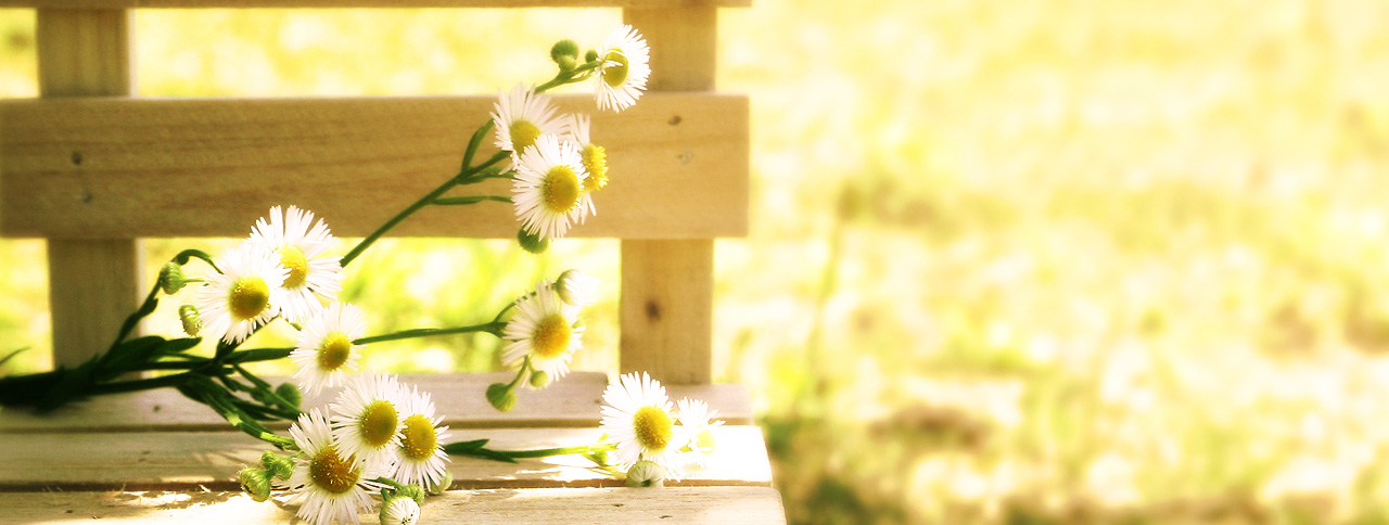 愛知県東海市の美容室シャルマンの店舗情報