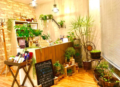 愛知県東海市の美容室シャルマン店内風景