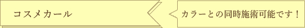 コスメカール（カラーとの同時施術可能です）