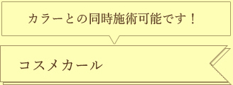 コスメカール（カラーとの同時施術可能です）