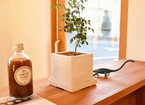 Logoではお越し頂いたお客様全員にスタッフおすすめのウェルカムドリンクをご用意しています。美肌やデトックスで女性に人気のジンジャーシロップを使ったドリンクは多くの方に喜ばれます。