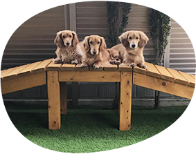 もっと遊びたい写真