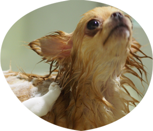 きれいになりたいな写真