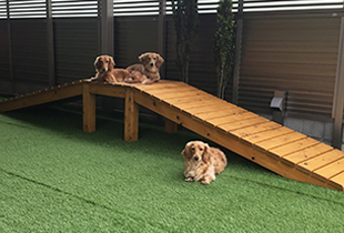 遊具でも遊べちゃう アスレチック