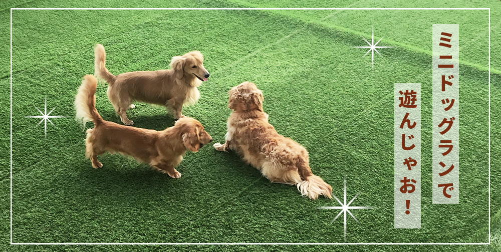 トップイメージ01