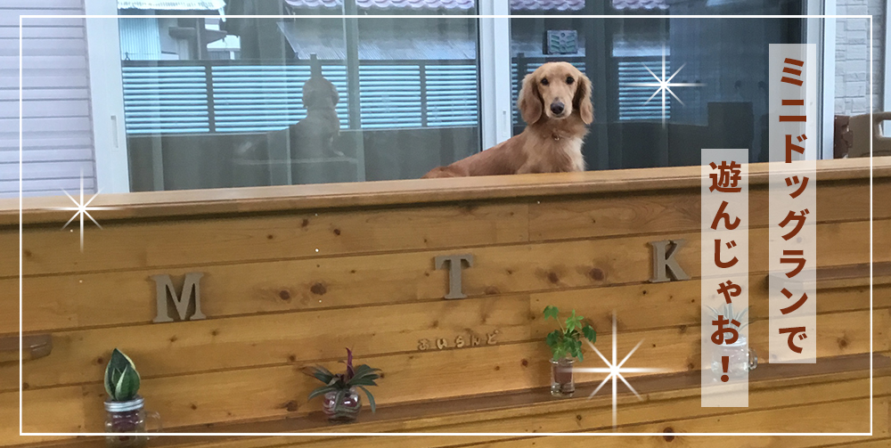 トップイメージ02