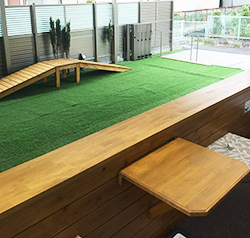 ウッドデッキからの眺め