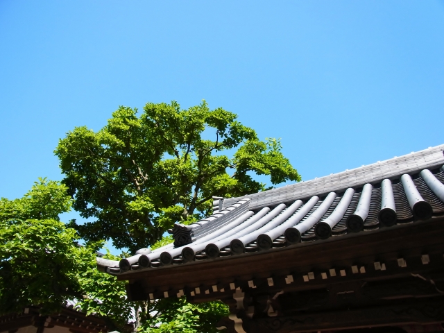 屋根と木
