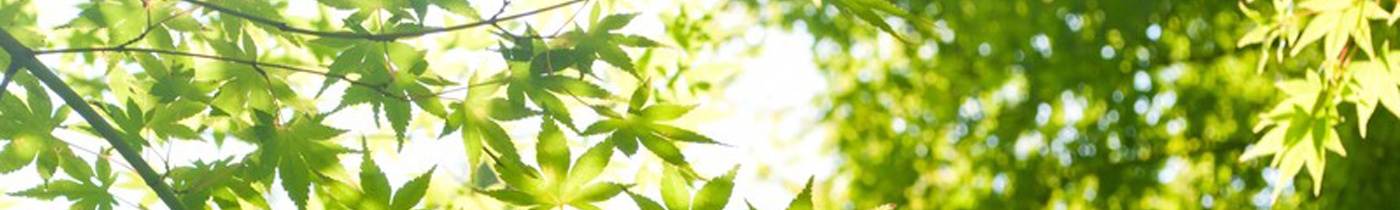 ワークスタイルの応募フォームです